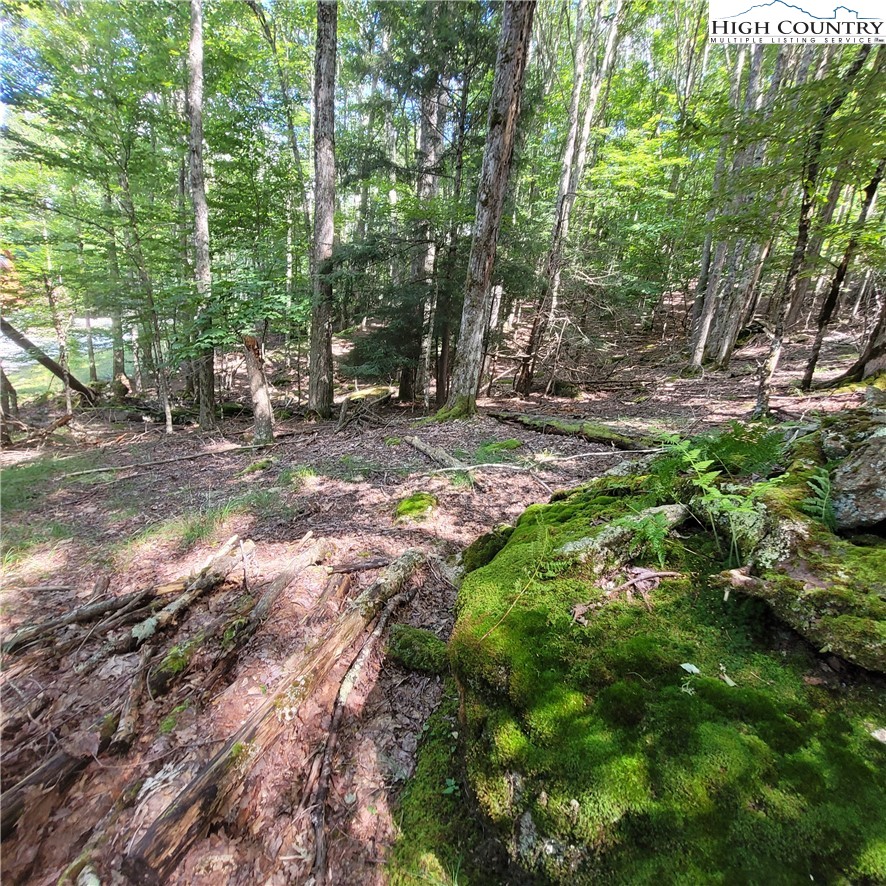 106 Woodridge Road Beech Mountain, NC 28604 - Photo 10 of 20