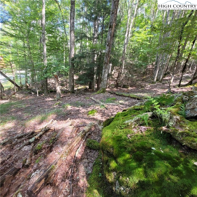 106 Woodridge Road Beech Mountain, NC 28604 - Photo 10 of 20 a backyard of a house with lots of green space