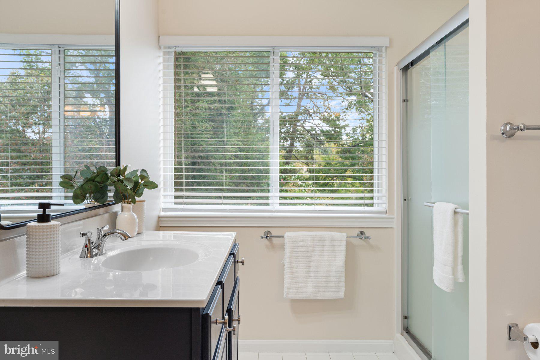 359 Valley Stream Road Severna Park, MD 21146 - Photo 23 of 55 a bathroom with a granite countertop sink and a large mirror