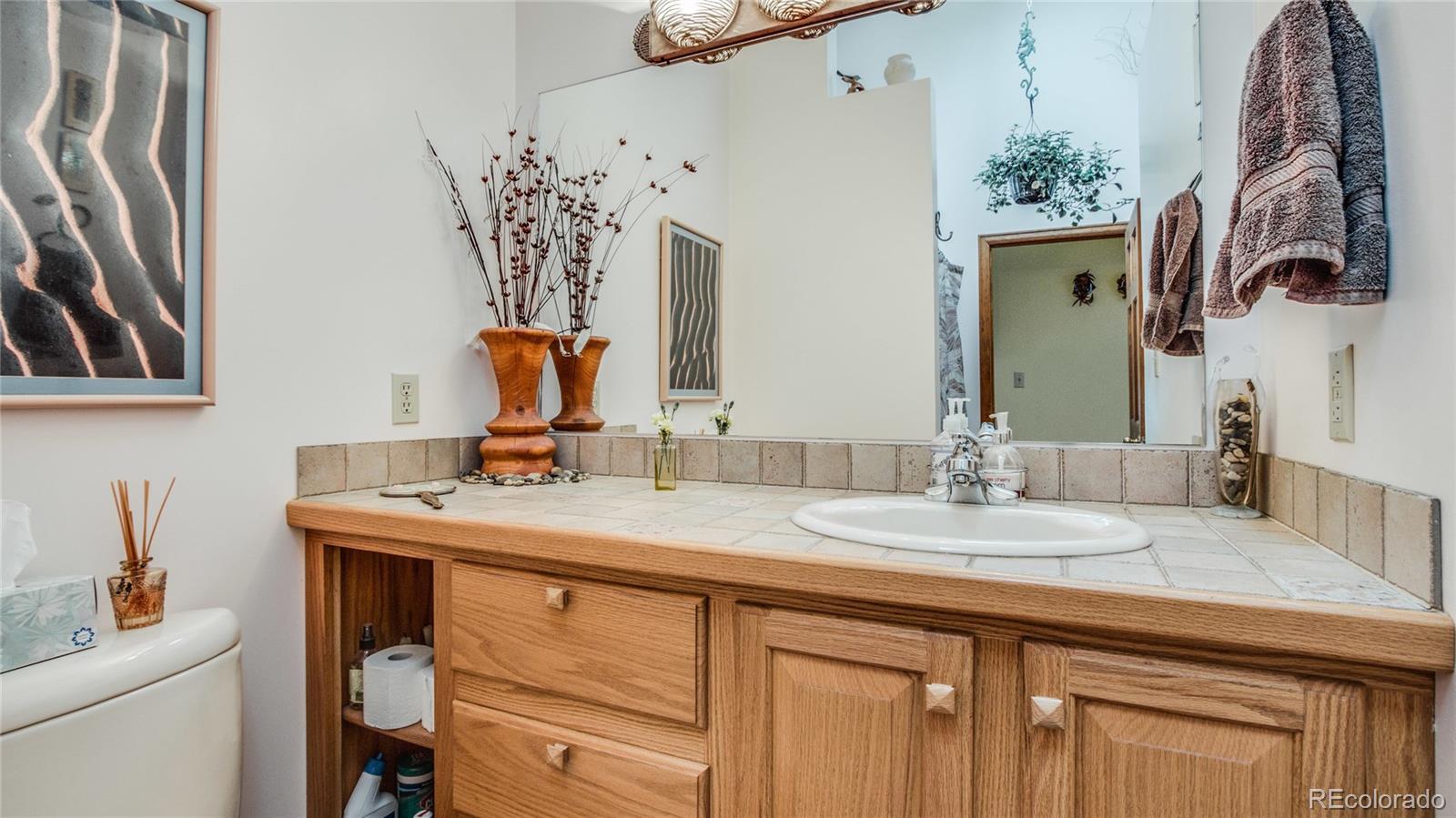 2226 South Ridge Road Bailey, CO 80421 - Photo 17 of 33 Gallery Image 17