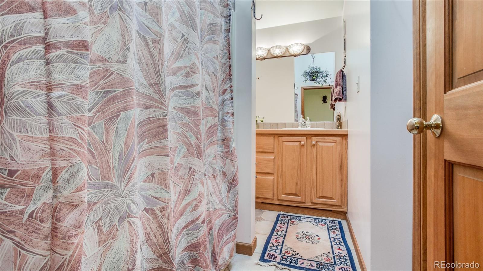 2226 South Ridge Road Bailey, CO 80421 - Photo 18 of 33 Gallery Image 18
