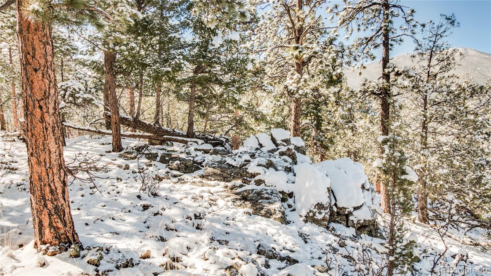 2226 South Ridge Road Bailey, CO 80421 - Photo 28 of 33 Gallery Image 28