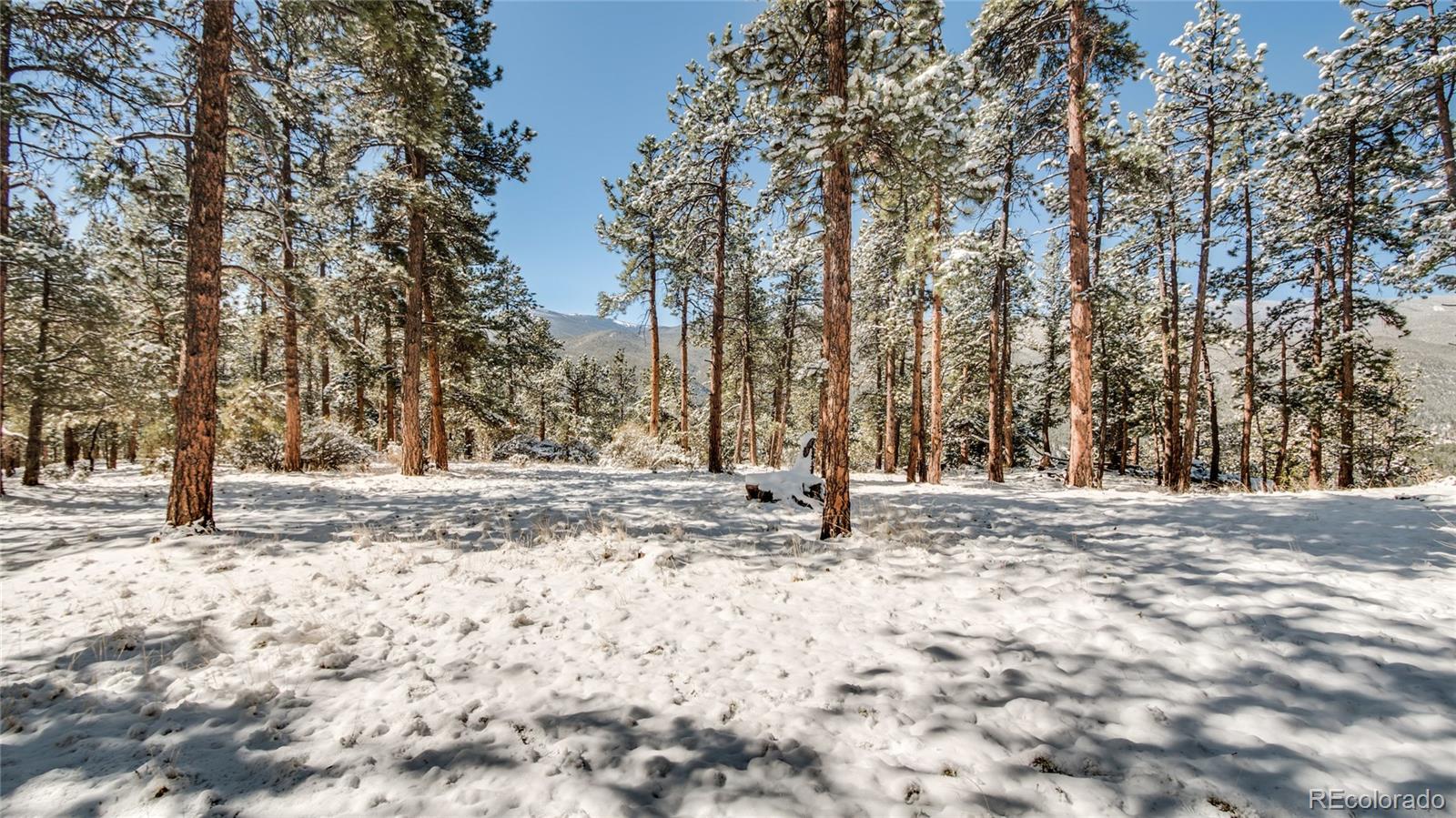 2226 South Ridge Road Bailey, CO 80421 - Photo 29 of 33 Gallery Image 29