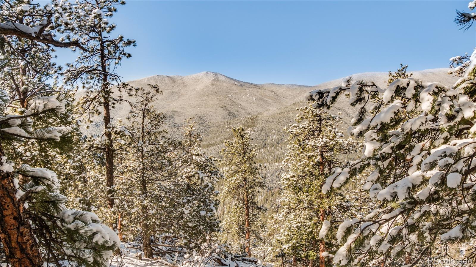 2226 South Ridge Road Bailey, CO 80421 - Photo 4 of 33 Gallery Image 4