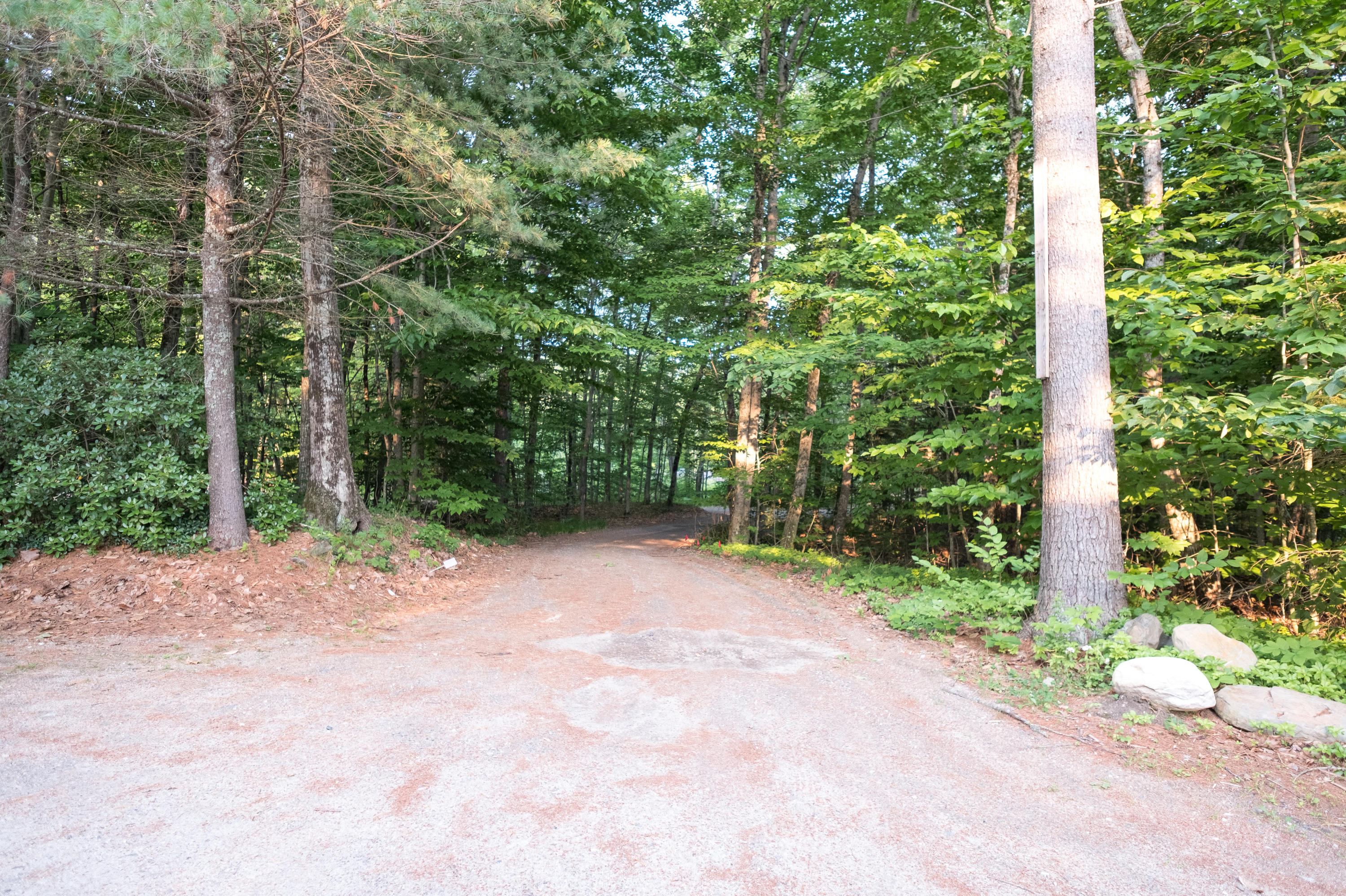 333 Bonny Eagle Road Standish, ME 04084 - Photo 53 of 79 driveway-1188