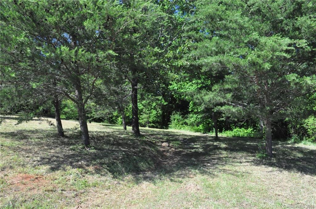 741 Landrum Mill Road Landrum, SC 29356 - Photo 20 of 24