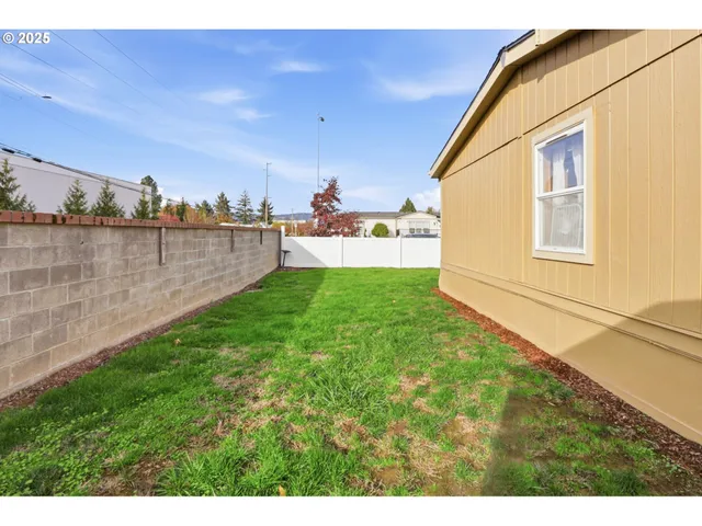 a view of a backyard with plants and lake view