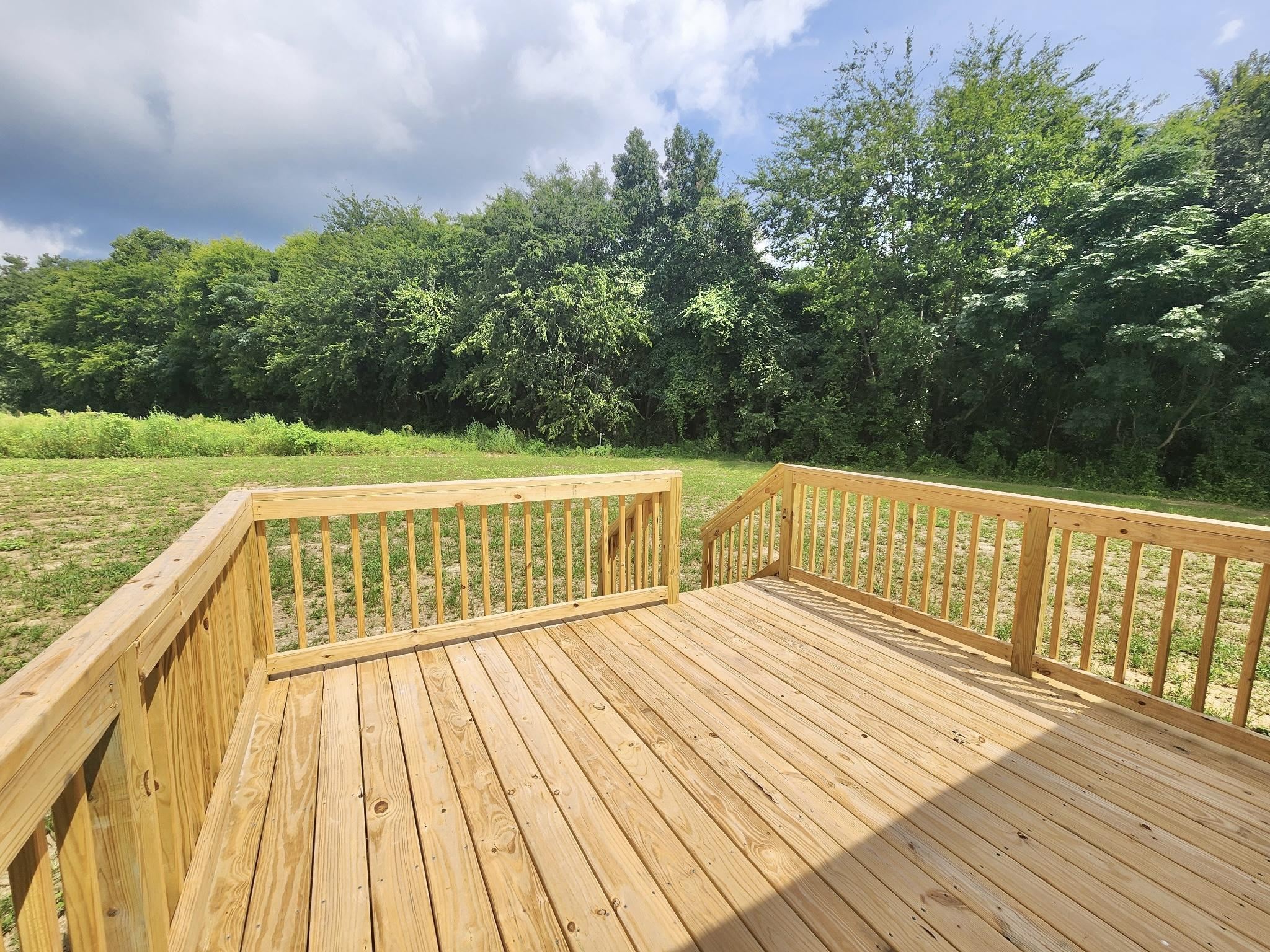 732 Black Branch Road Dillon, SC 29536 - Photo 4 of 20 Gallery Image 4