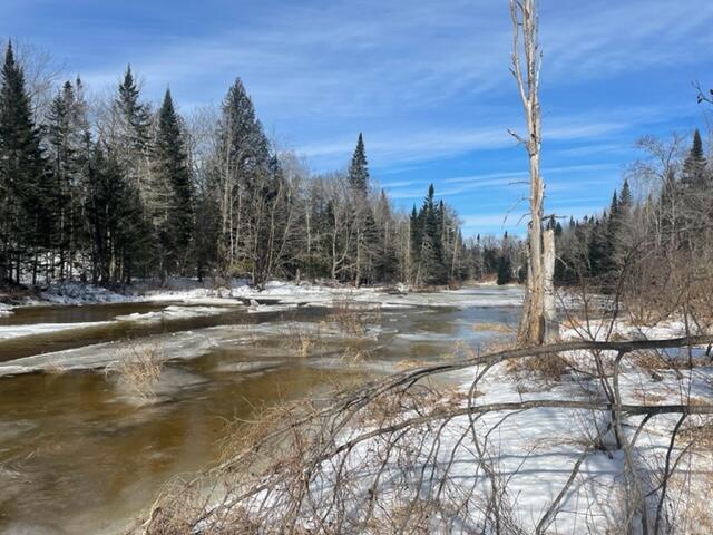 0 Wellington Road Harmony, ME 04942 - Photo 3 of 5 IMG_4507