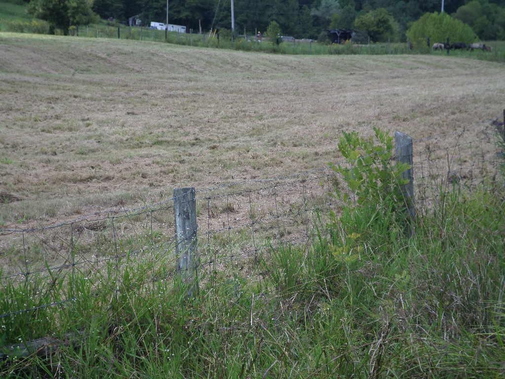1 Hawkins Branch Road Frenchburg, KY 40322 - Photo 2 of 2 Photo 2