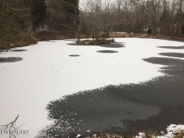 1246 Laurel Bluff Road Kingston, TN 37763 - Photo 28 of 60 pond seasons