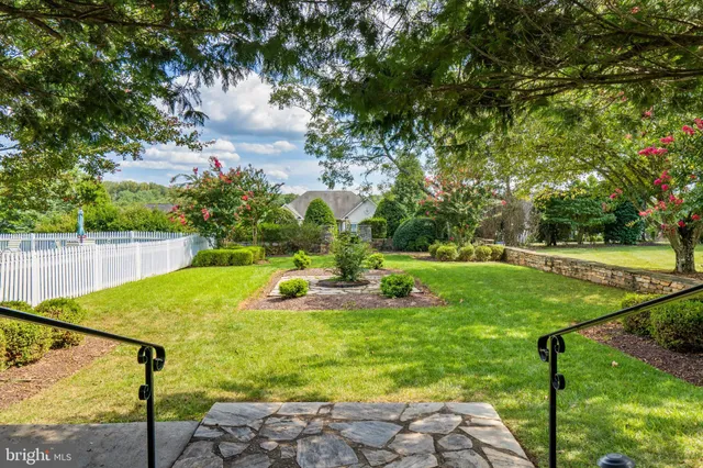 a view of a backyard with large trees