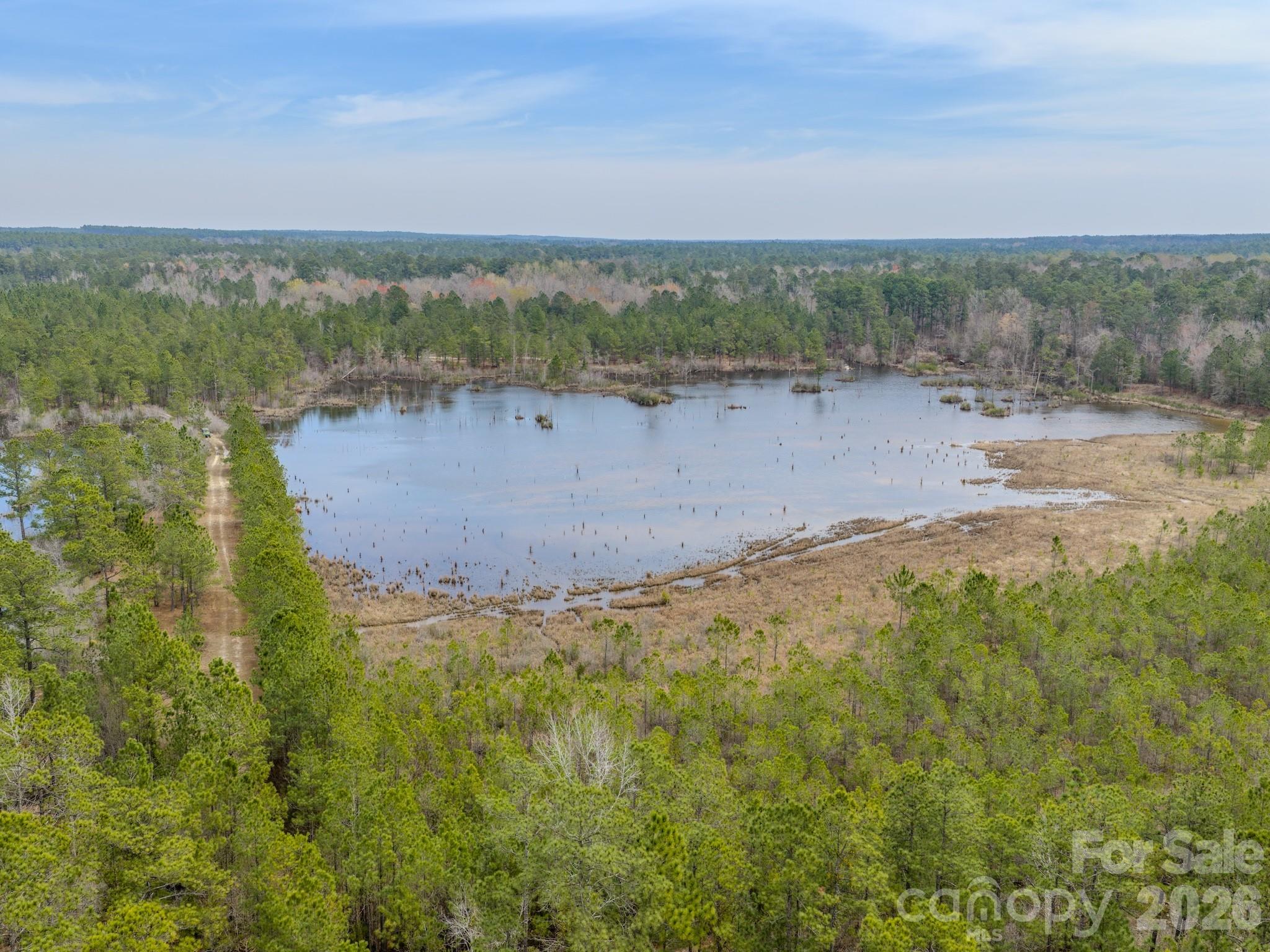 0 Lobelia Road Vass, NC 28394 - Photo 11 of 48