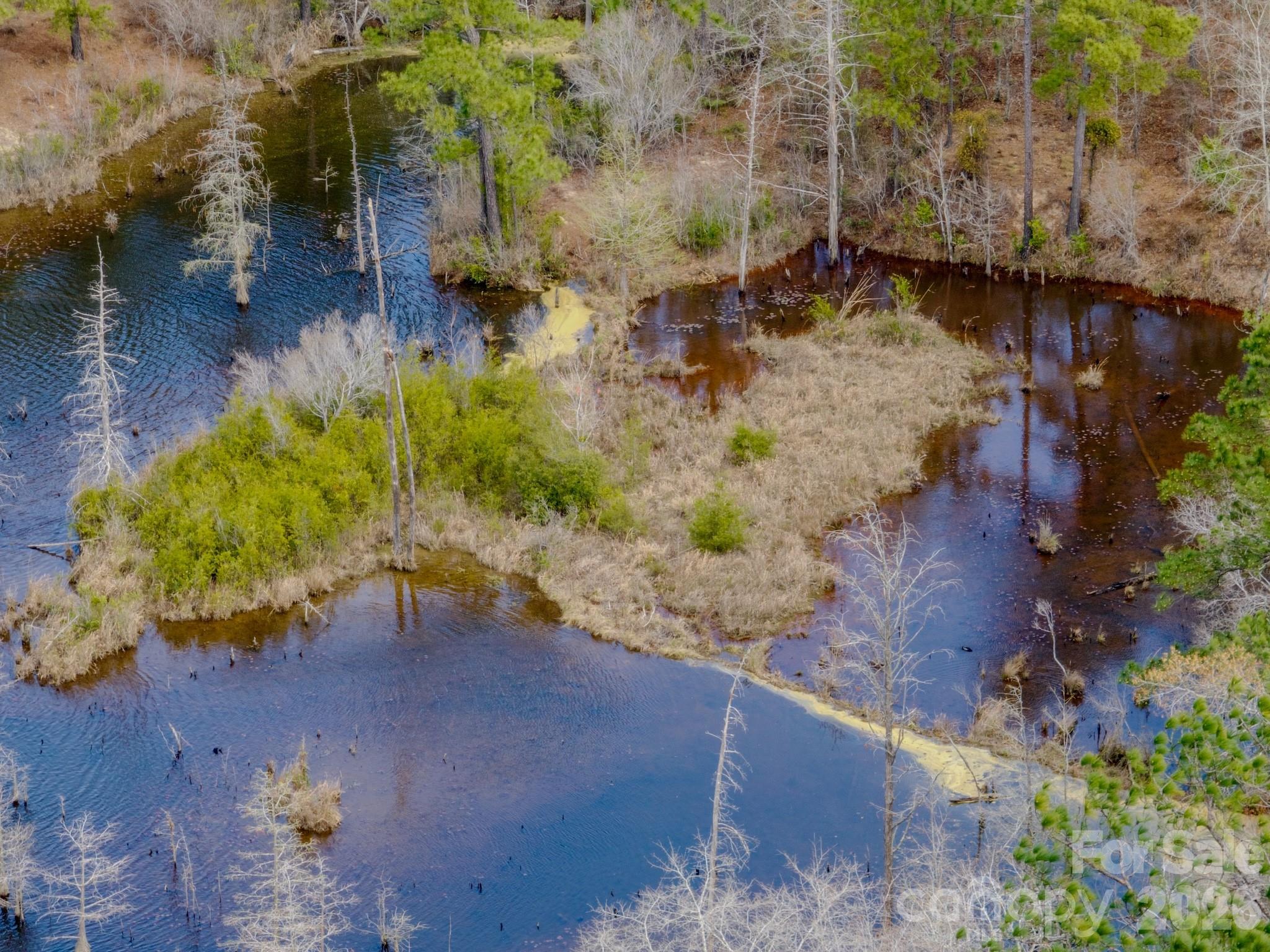 0 Lobelia Road Vass, NC 28394 - Photo 13 of 48