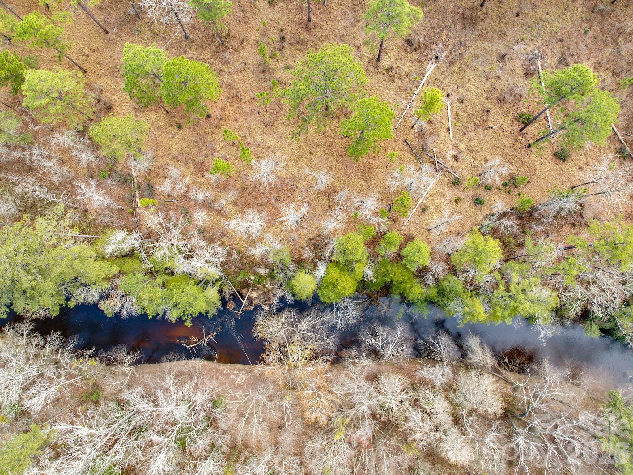 0 Lobelia Road Vass, NC 28394 - Photo 14 of 48