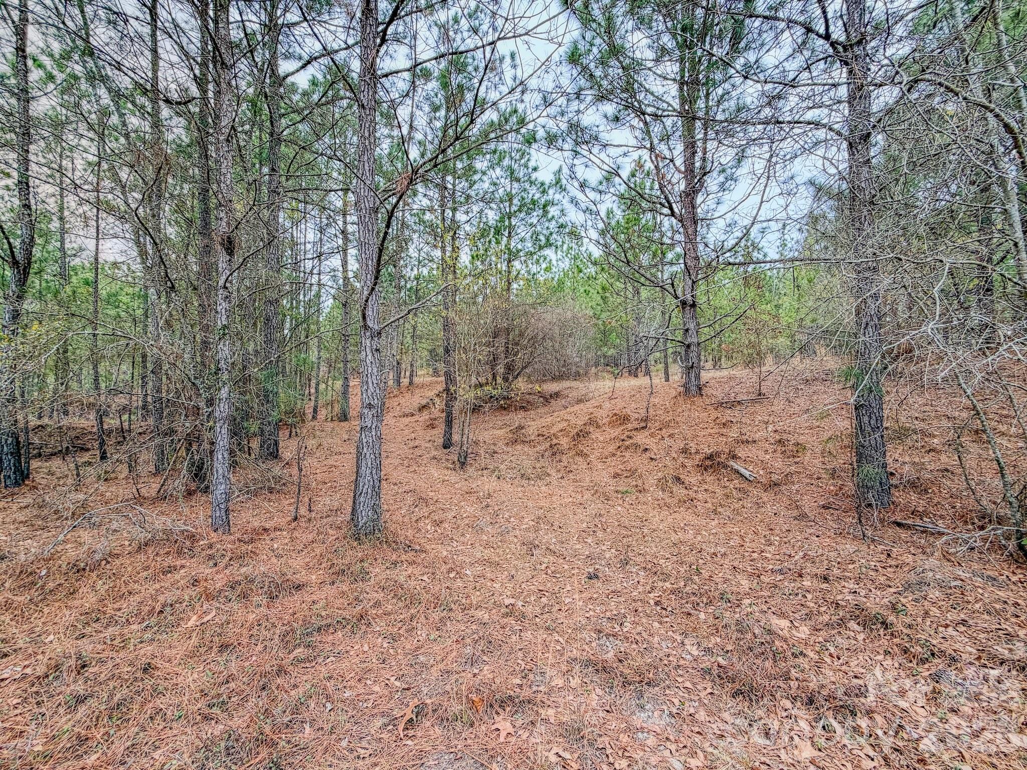 0 Lobelia Road Vass, NC 28394 - Photo 15 of 48