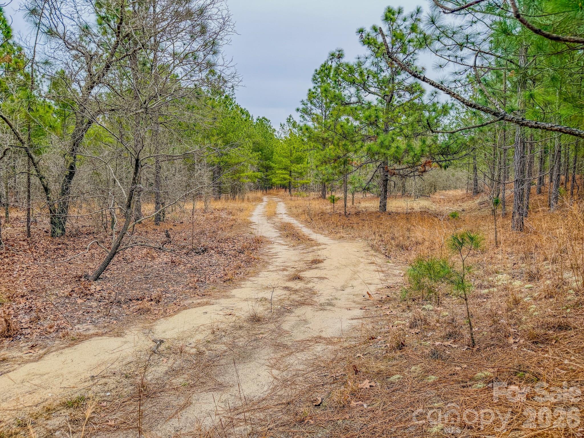 0 Lobelia Road Vass, NC 28394 - Photo 16 of 48