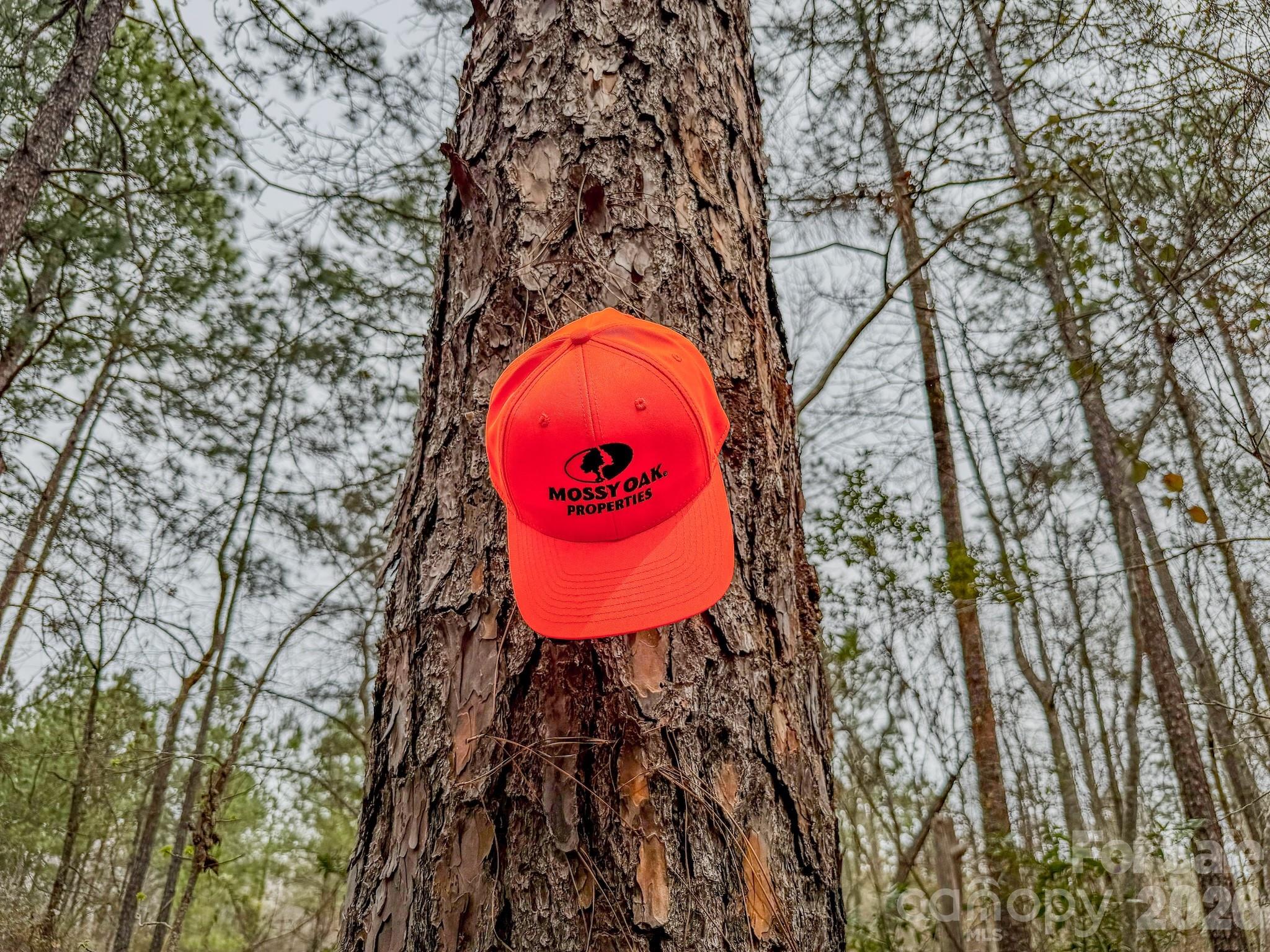 0 Lobelia Road Vass, NC 28394 - Photo 17 of 48