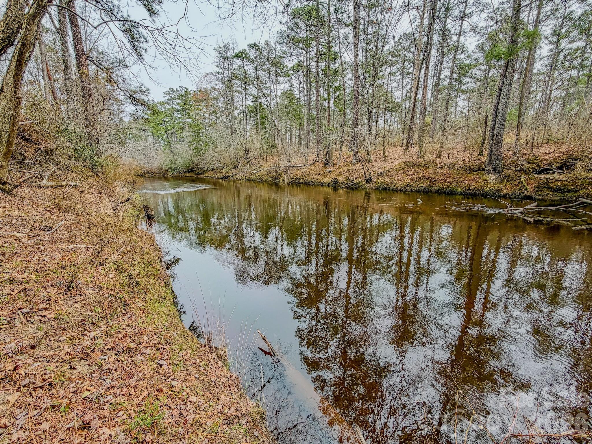 0 Lobelia Road Vass, NC 28394 - Photo 19 of 48