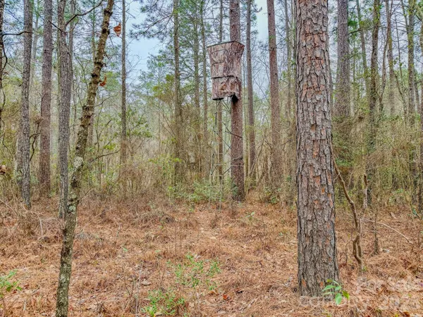 a view of water with boats and trees in the background