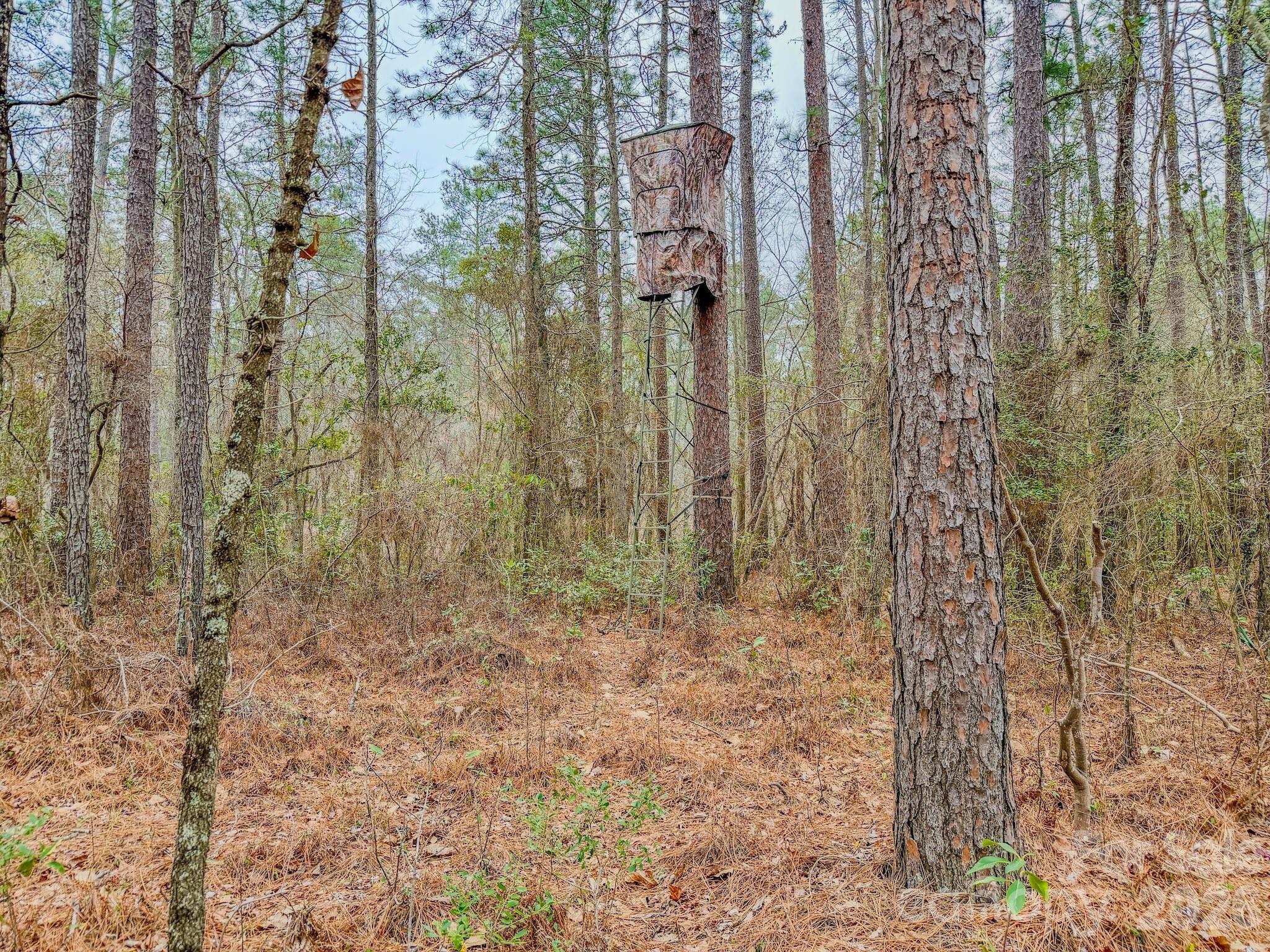 0 Lobelia Road Vass, NC 28394 - Photo 20 of 48