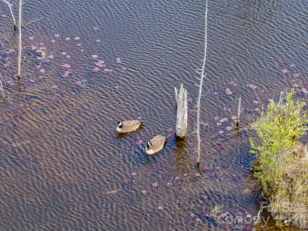 a bathroom with a toilet
