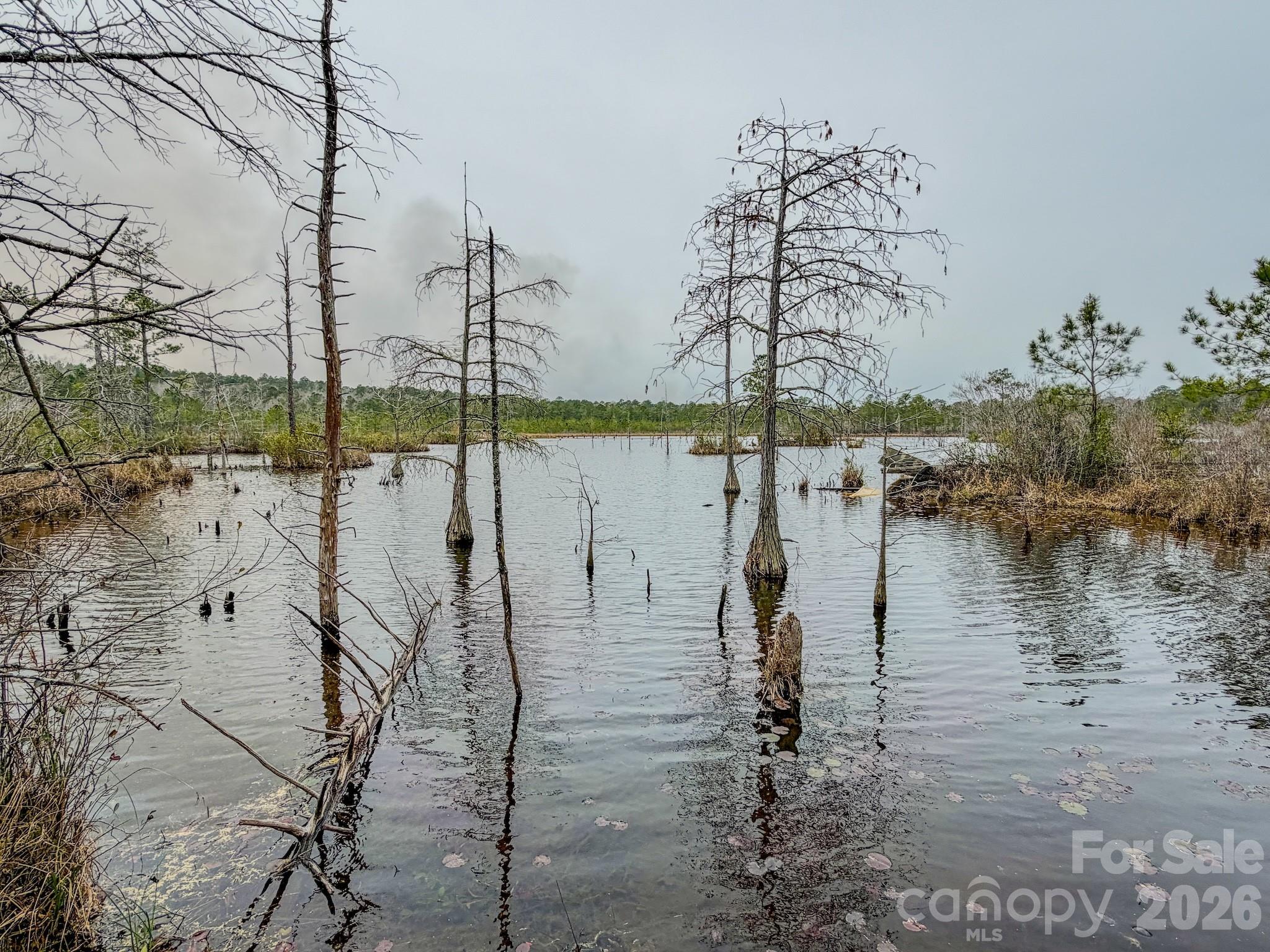 0 Lobelia Road Vass, NC 28394 - Photo 22 of 48