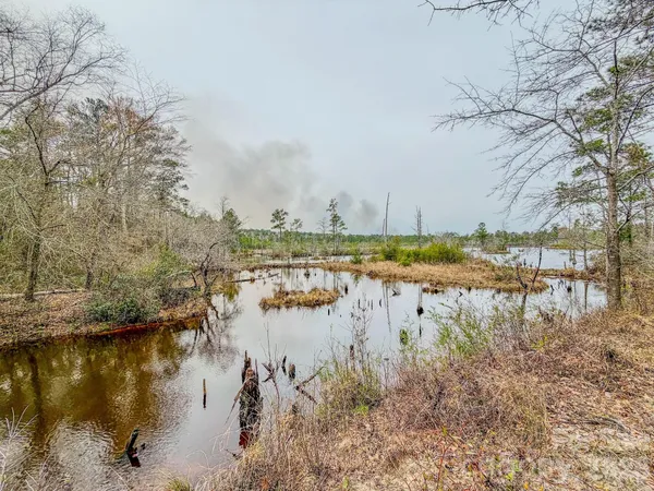 a view of outdoor space with trees all around