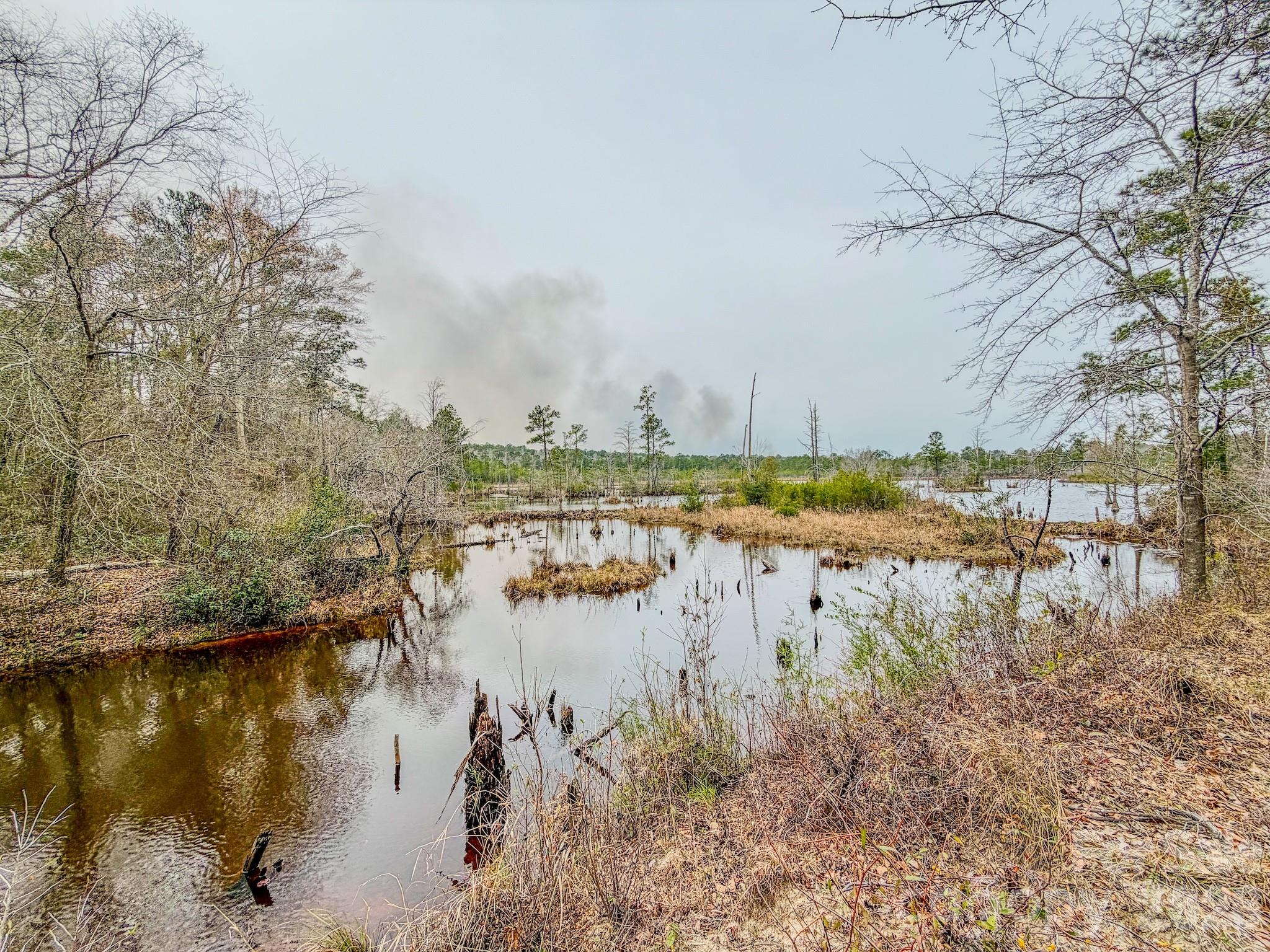 0 Lobelia Road Vass, NC 28394 - Photo 23 of 48