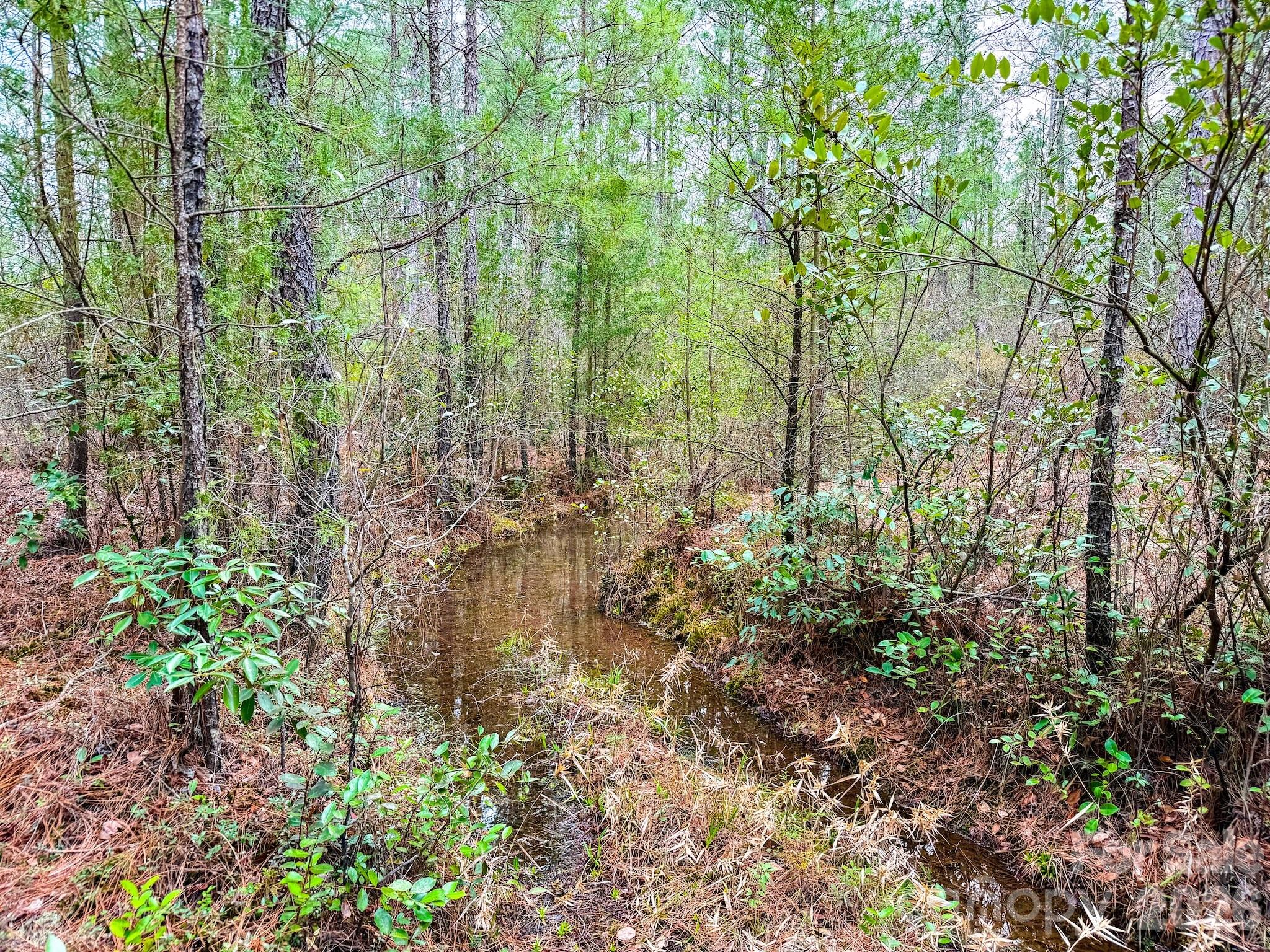 0 Lobelia Road Vass, NC 28394 - Photo 24 of 48