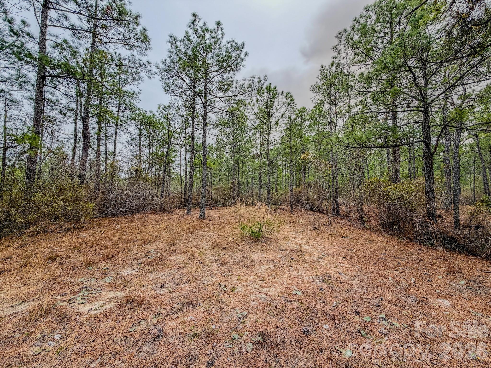 0 Lobelia Road Vass, NC 28394 - Photo 25 of 48
