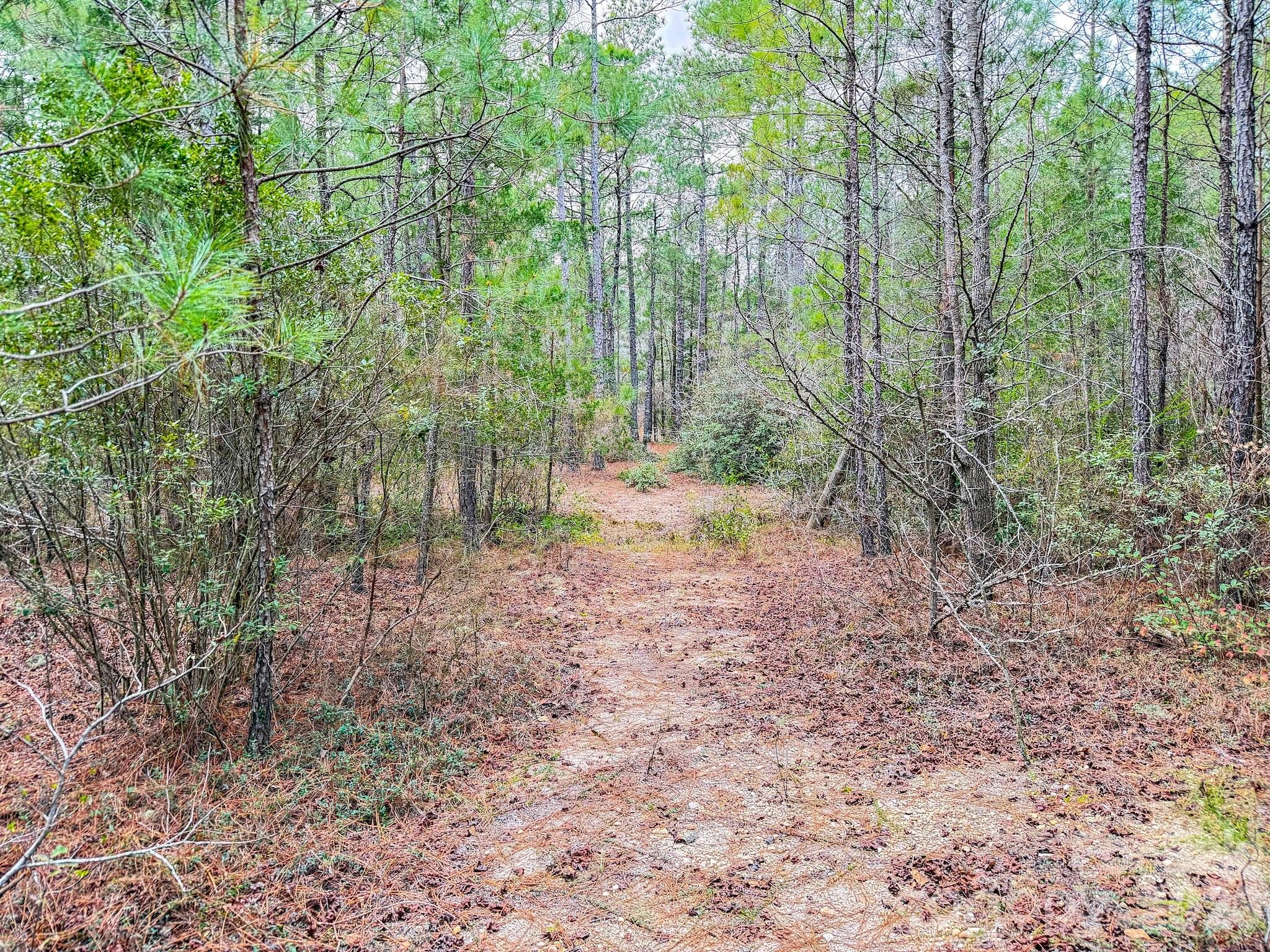 0 Lobelia Road Vass, NC 28394 - Photo 26 of 48