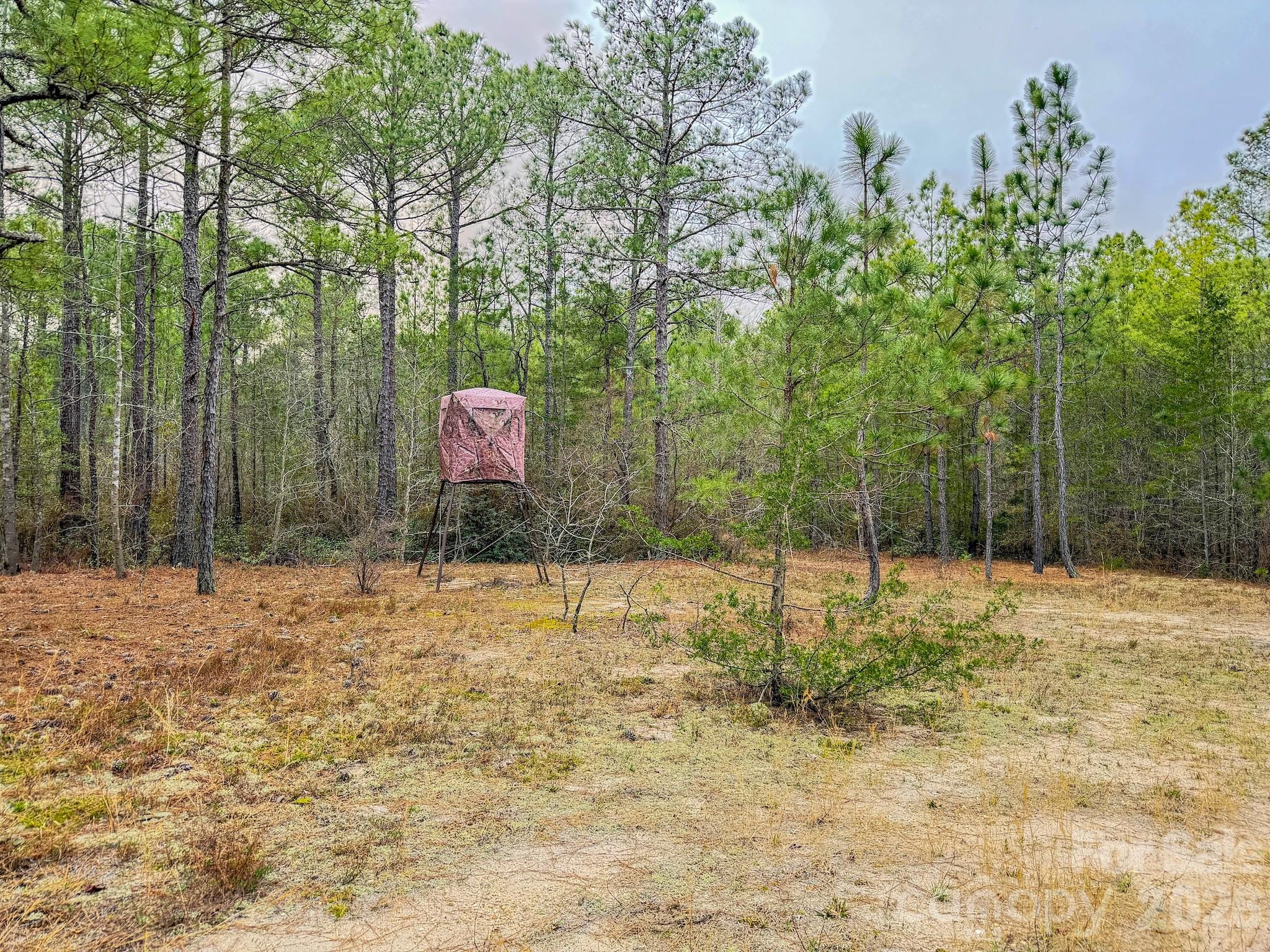 0 Lobelia Road Vass, NC 28394 - Photo 28 of 48