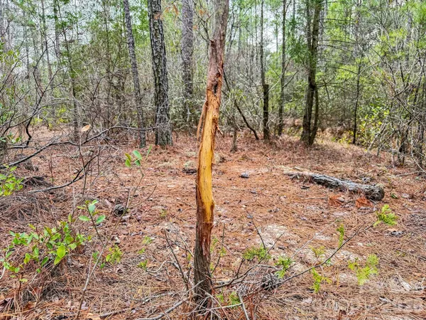 a view of a lake with beach and city space