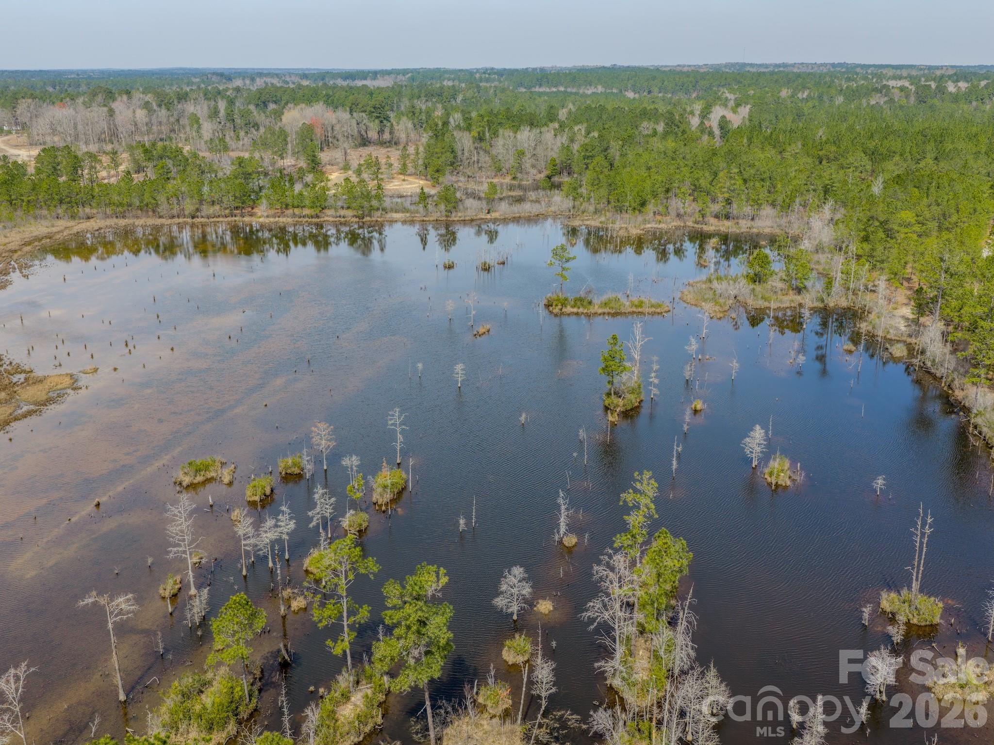 0 Lobelia Road Vass, NC 28394 - Photo 30 of 48