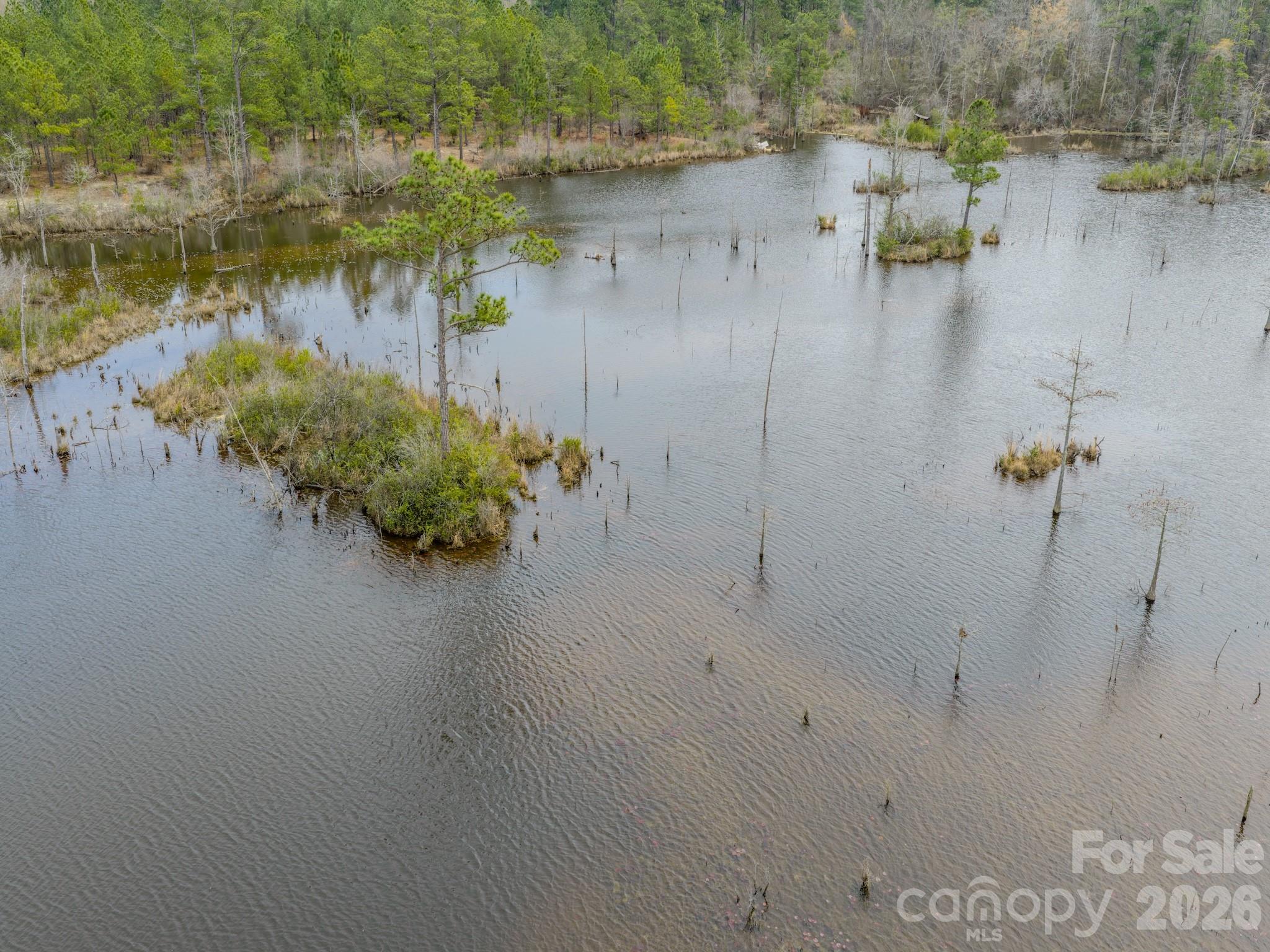 0 Lobelia Road Vass, NC 28394 - Photo 3 of 48