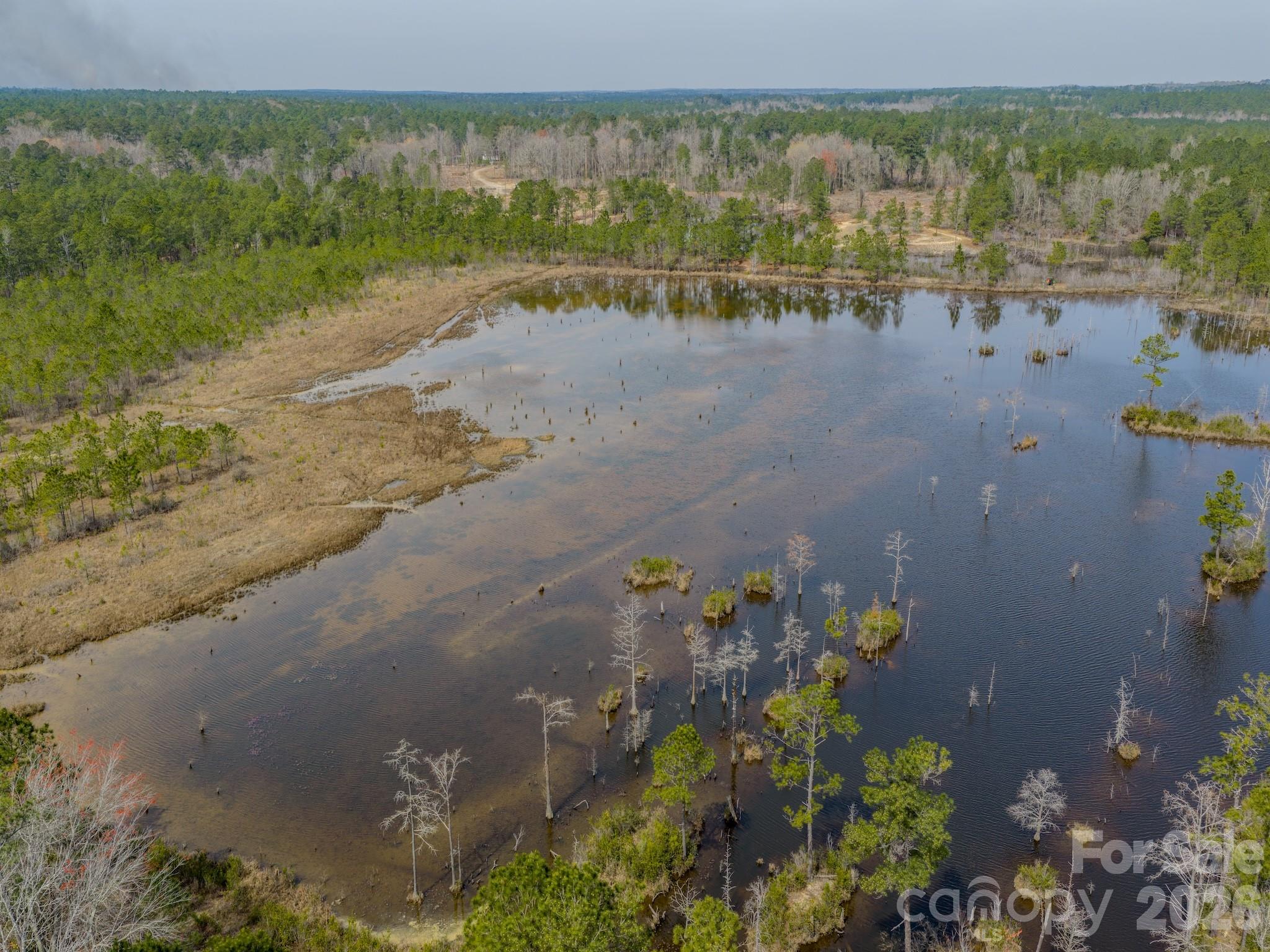 0 Lobelia Road Vass, NC 28394 - Photo 31 of 48