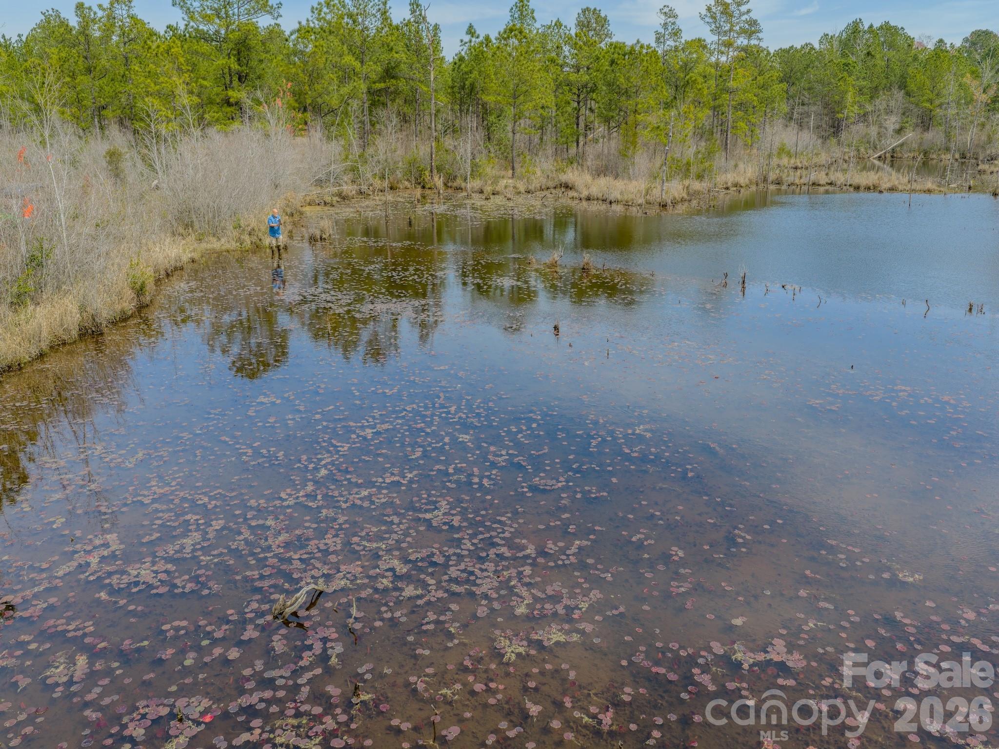 0 Lobelia Road Vass, NC 28394 - Photo 33 of 48
