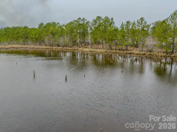 a backyard of a house with lots of trees