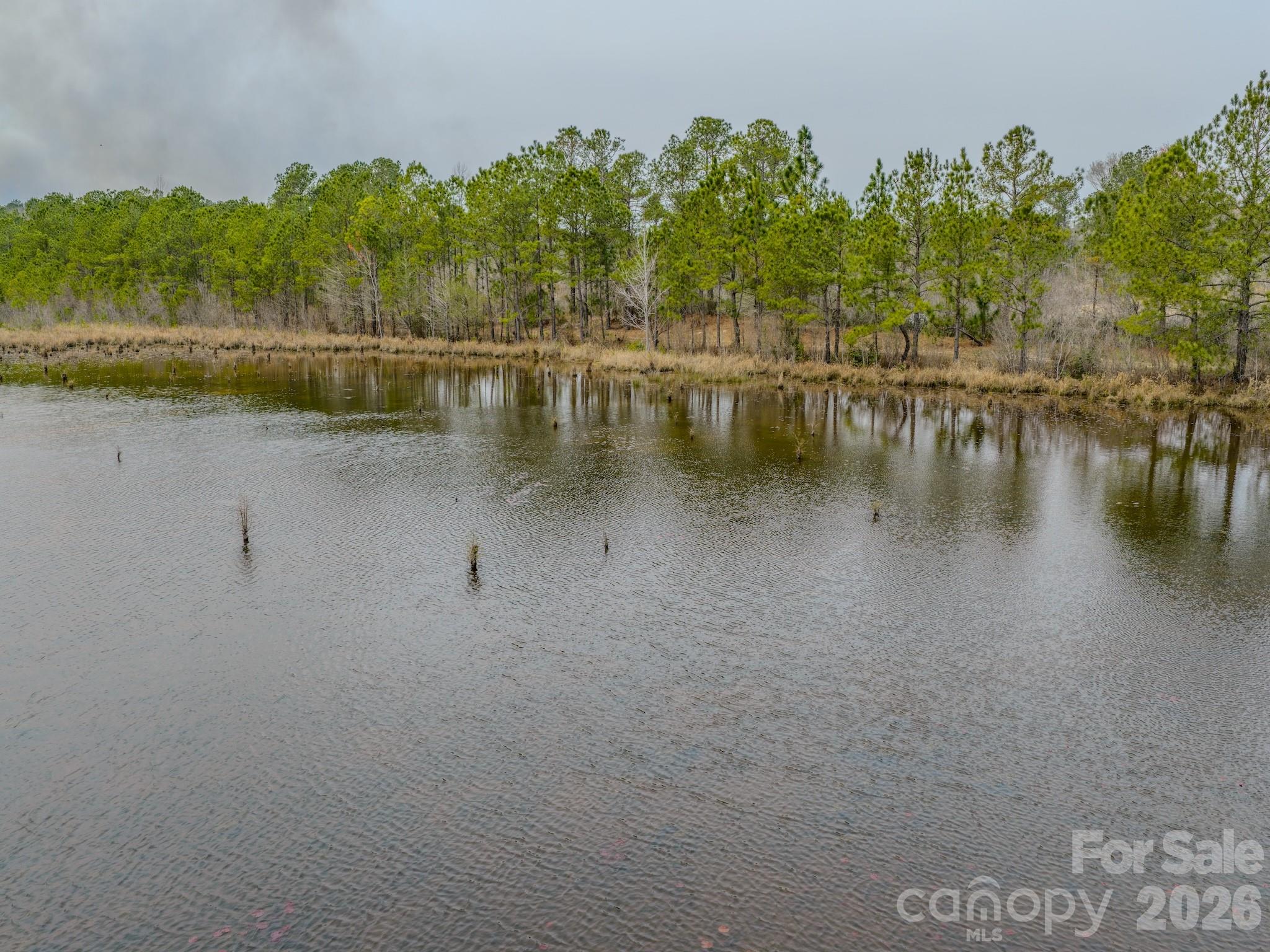 0 Lobelia Road Vass, NC 28394 - Photo 34 of 48