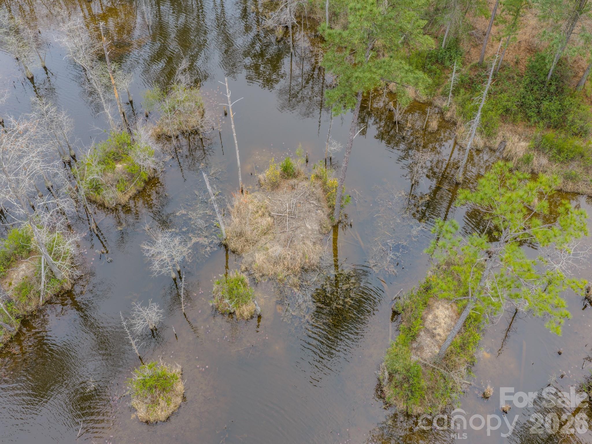 0 Lobelia Road Vass, NC 28394 - Photo 35 of 48