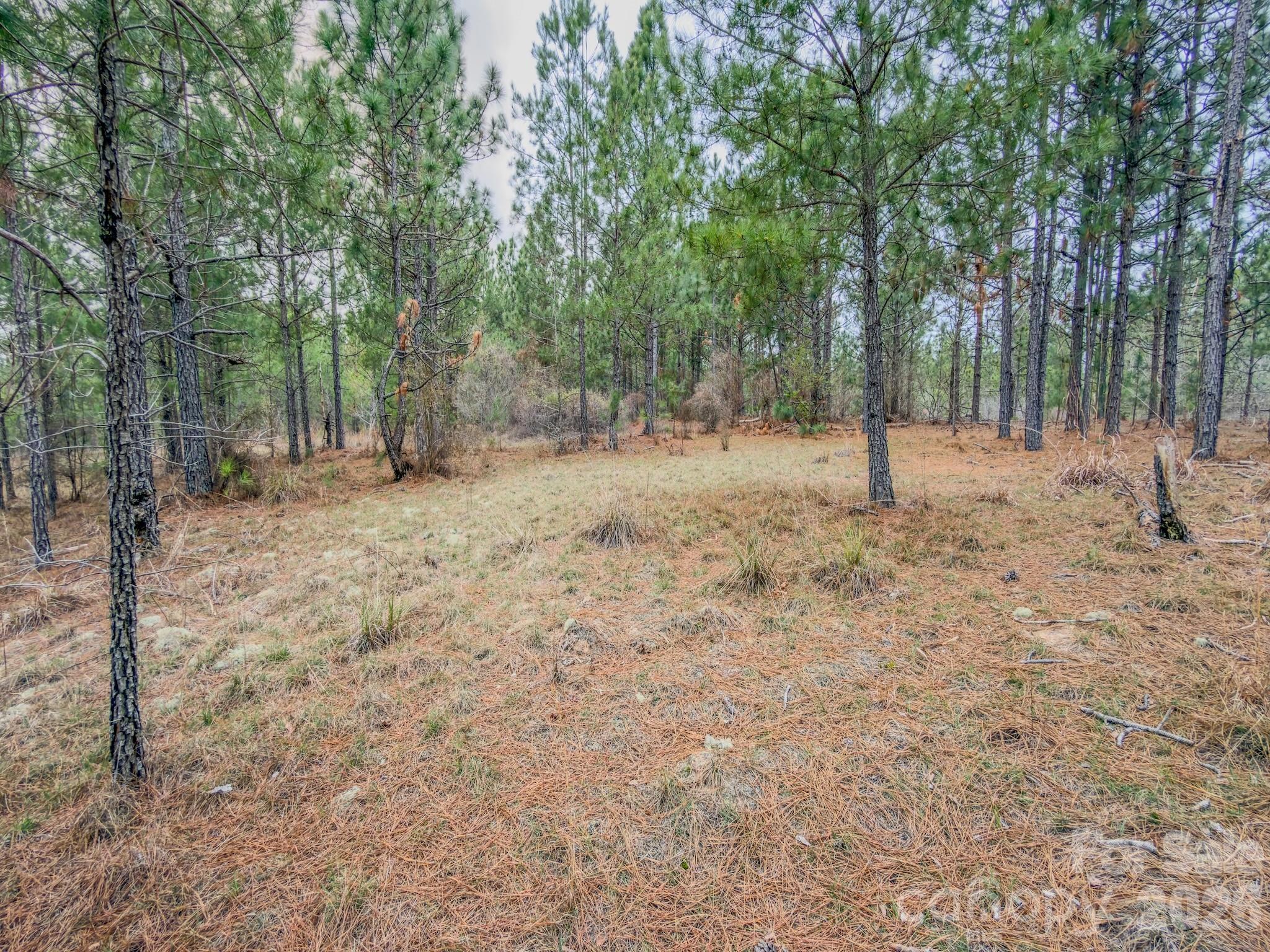 0 Lobelia Road Vass, NC 28394 - Photo 36 of 48