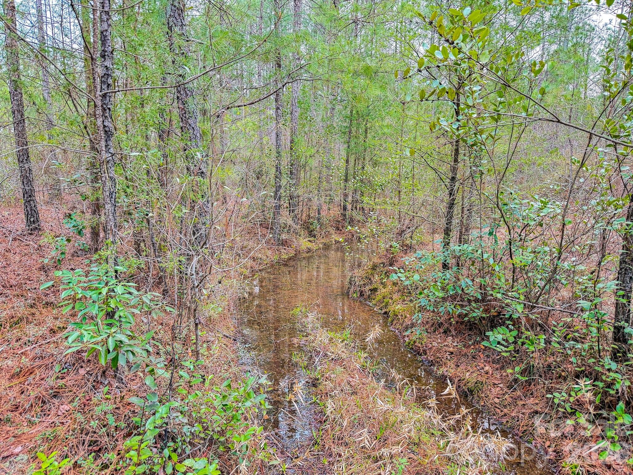 0 Lobelia Road Vass, NC 28394 - Photo 38 of 48