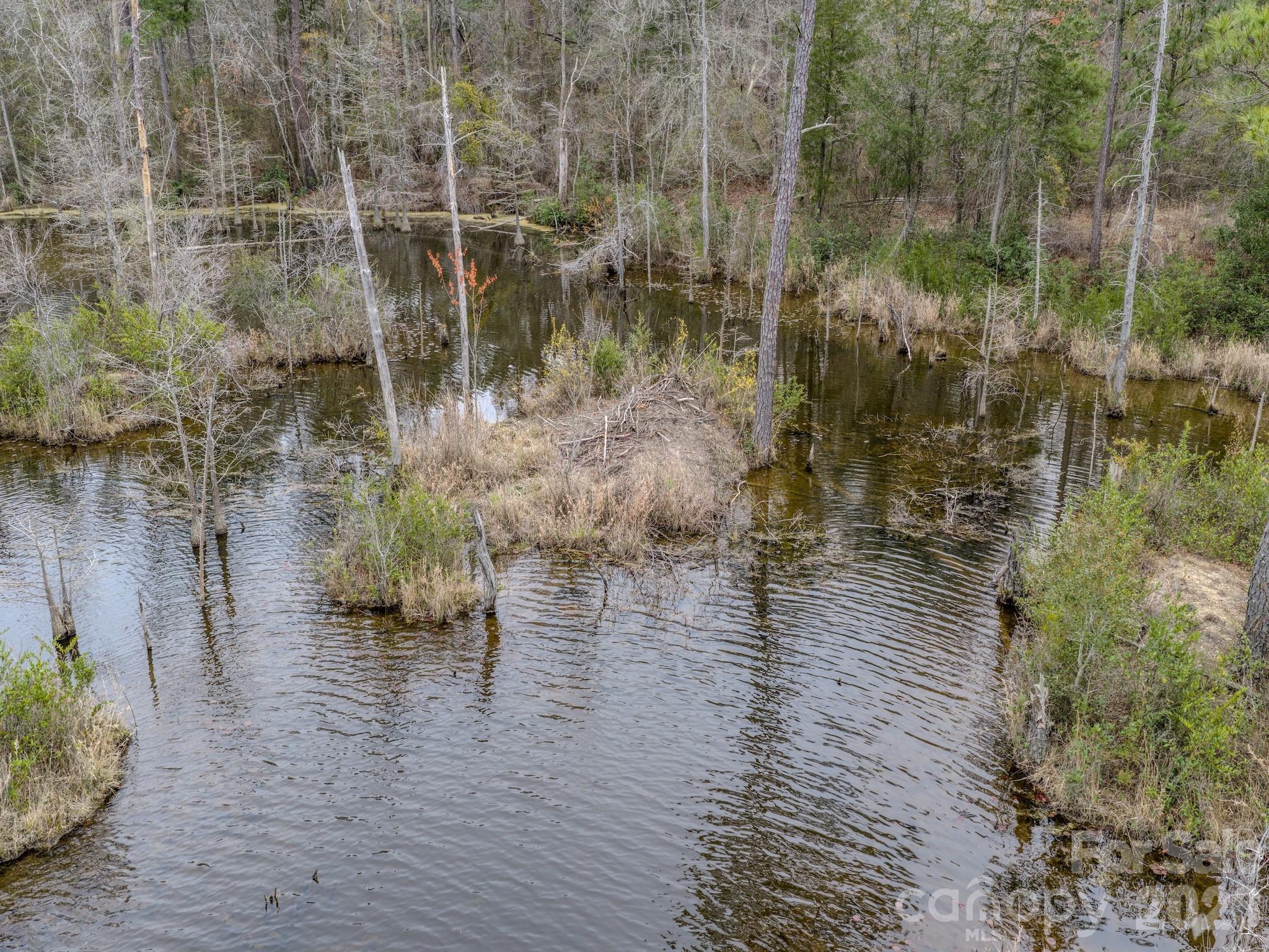 0 Lobelia Road Vass, NC 28394 - Photo 4 of 48