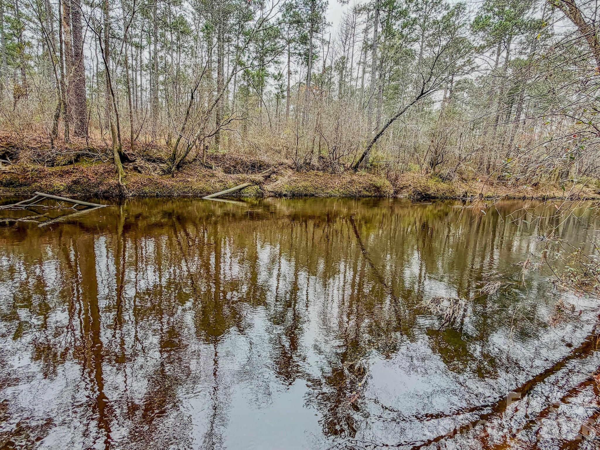 0 Lobelia Road Vass, NC 28394 - Photo 41 of 48