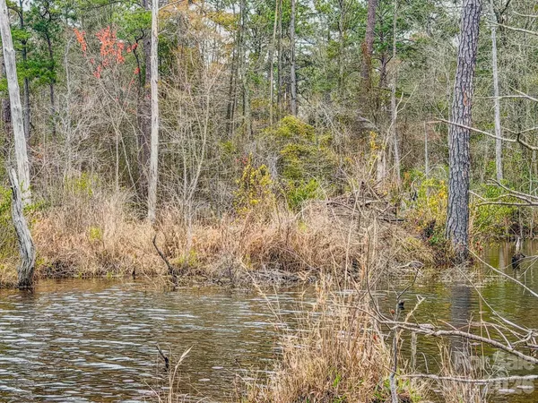 a view of a forest with a houses