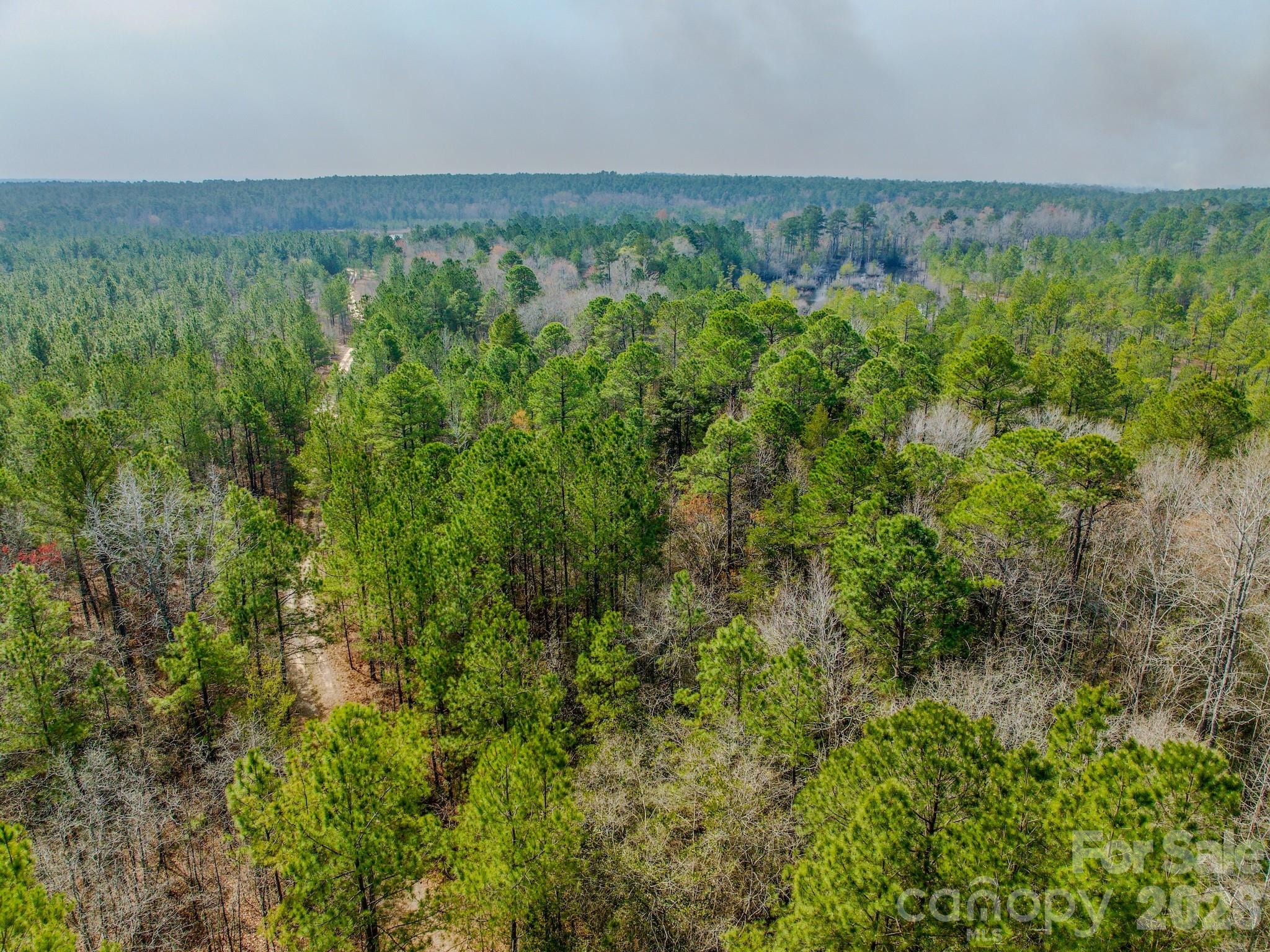 0 Lobelia Road Vass, NC 28394 - Photo 44 of 48