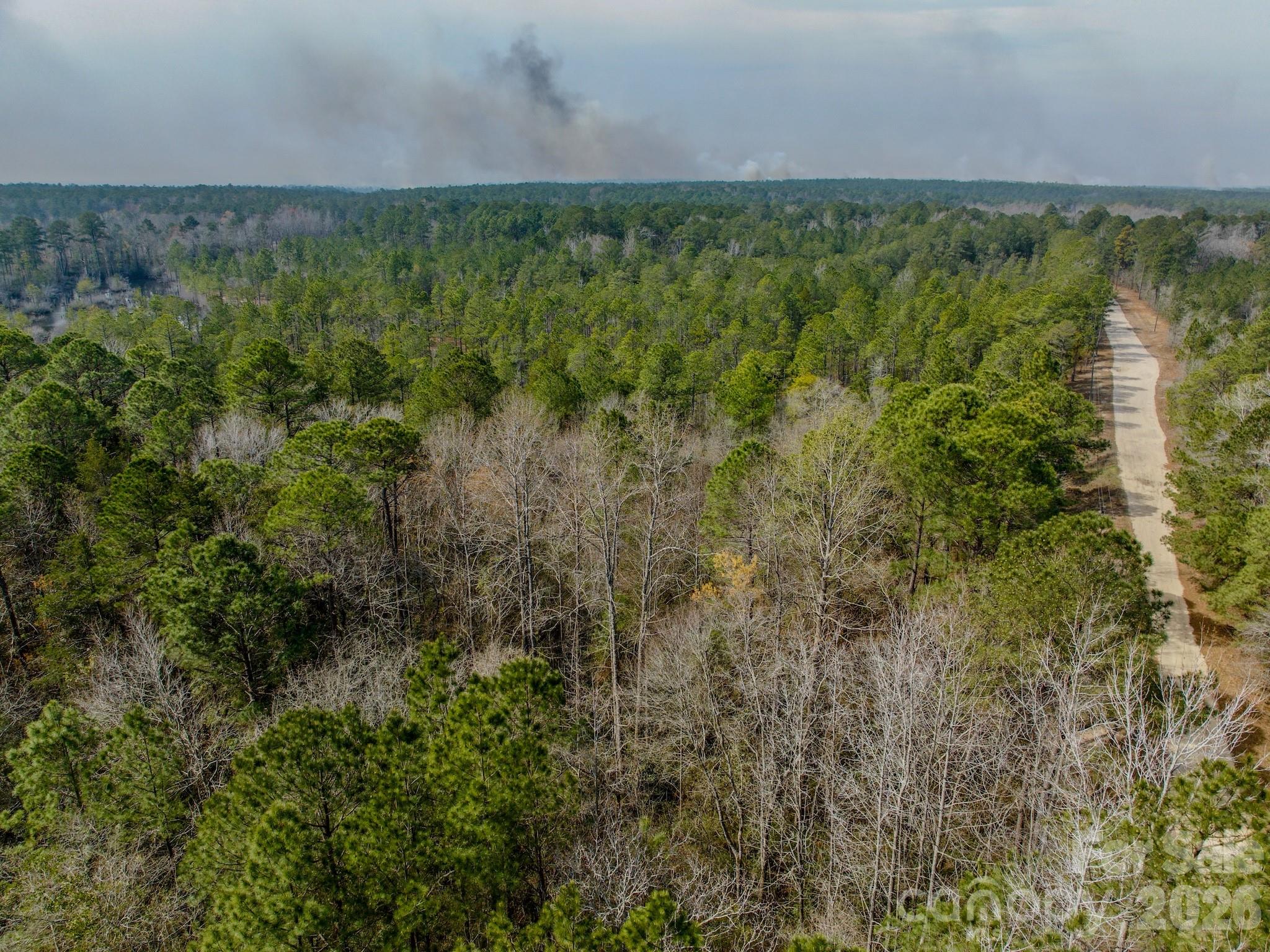 0 Lobelia Road Vass, NC 28394 - Photo 45 of 48