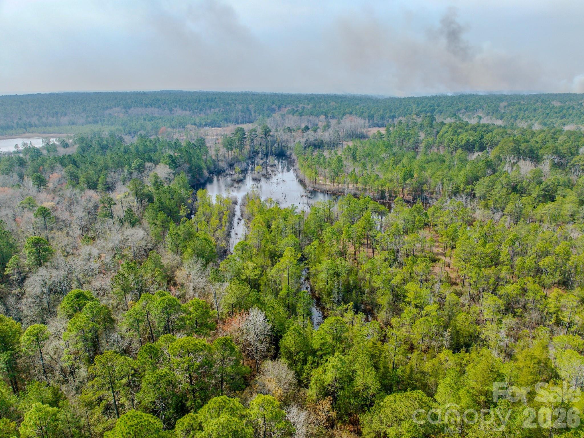 0 Lobelia Road Vass, NC 28394 - Photo 46 of 48