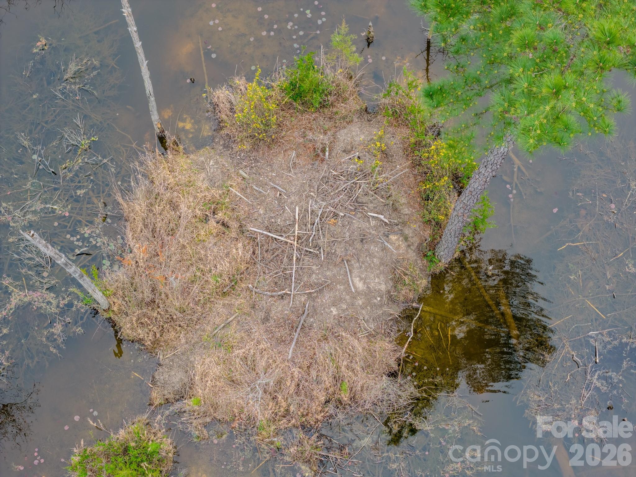 0 Lobelia Road Vass, NC 28394 - Photo 5 of 48